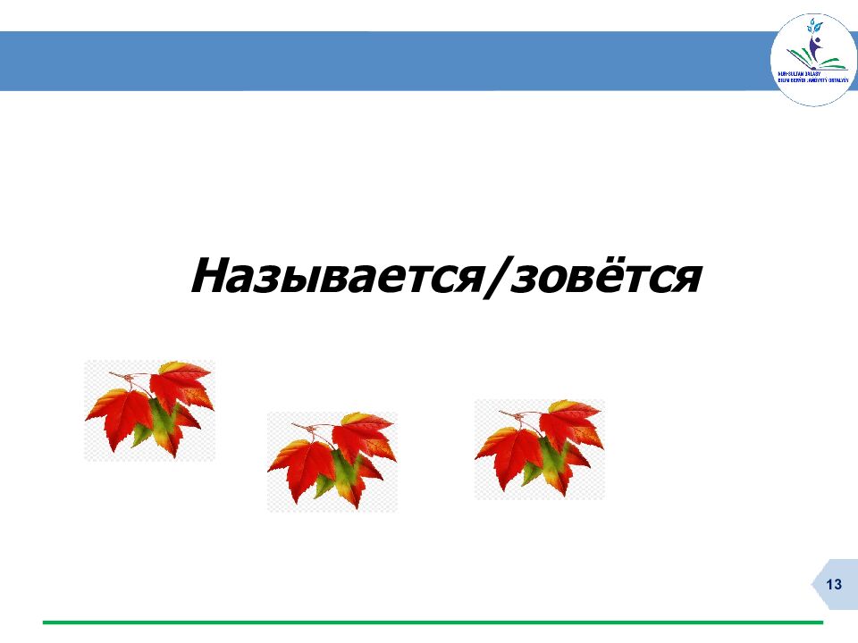 Русский язык и литература. 6 класс Учитель Асетова Гульшат Ракимбековна Центр