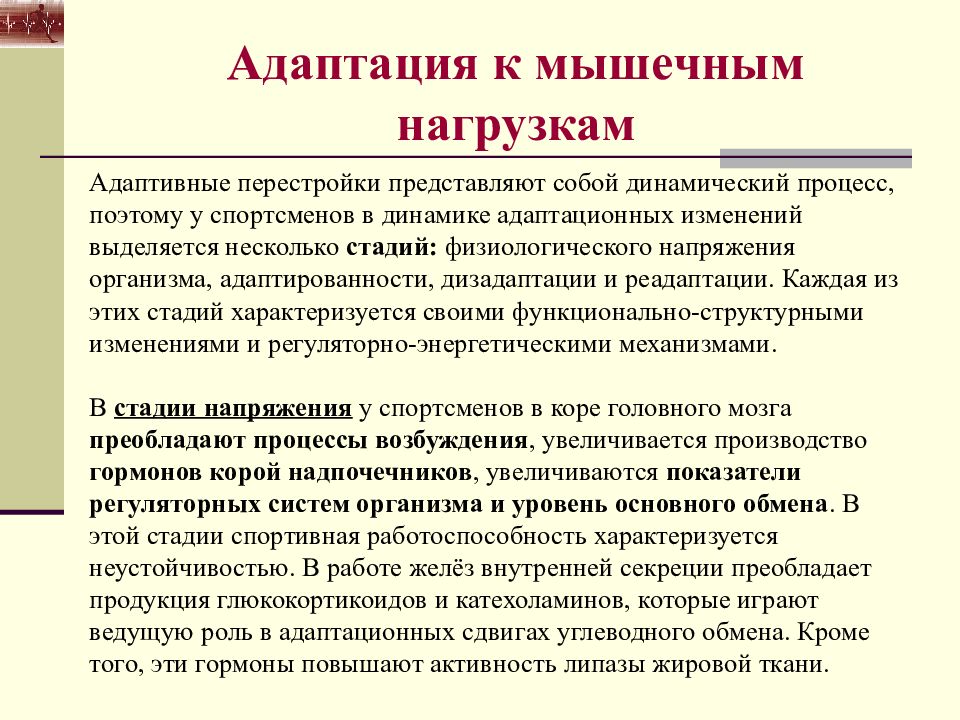 Перестройка организма. Адаптационные способности мышцы. Стадии напряжения и адаптированности. Адаптационные изменения. Анатомо-физиологические основы мышечной деятельности.