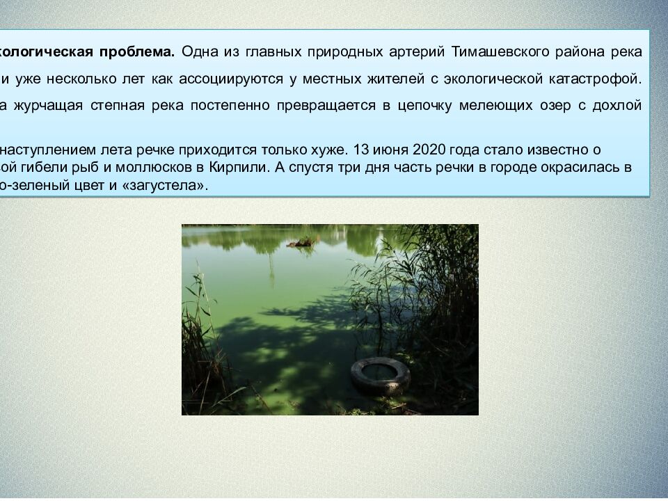 ИНДИВИДУАЛЬНЫЙ ИТОГОВЫЙ ПРОЕКТ НА ТЕМУ: «Экологические проблемы Тимашевского