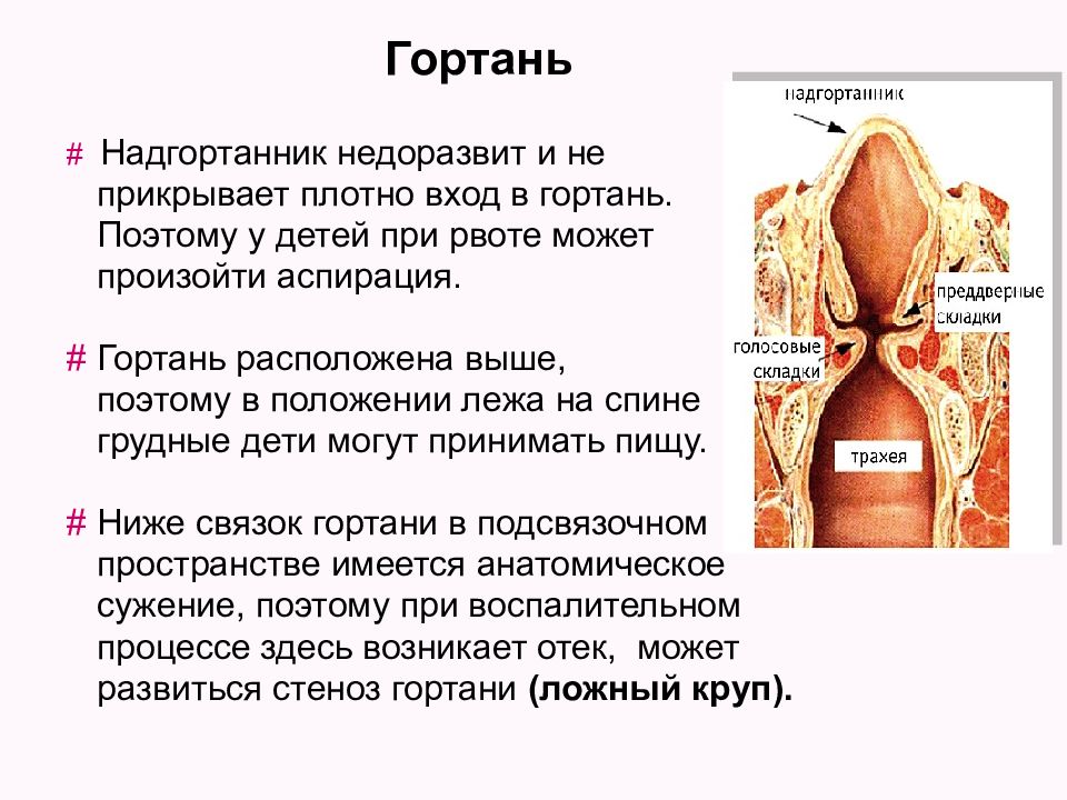 Анатомо физиологические особенности дыхательной системы у детей презентация