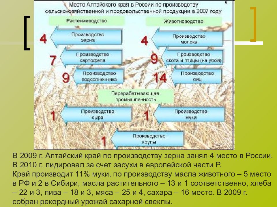 Развитие алтайского края. Экономика Алтайского края. Особенности экономики Алтайского края. Развитые отрасли Алтайского края. Отрасли сельского хозяйства Алтайского края.