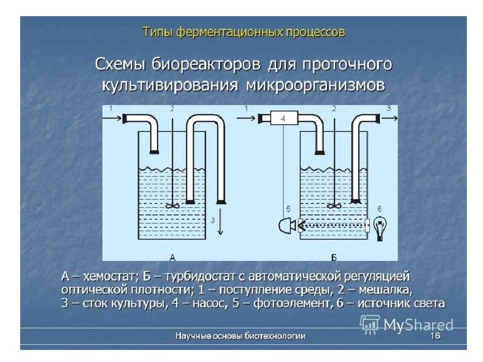 Особенности ферментационного оборудования и отдельных элементов технологических схем