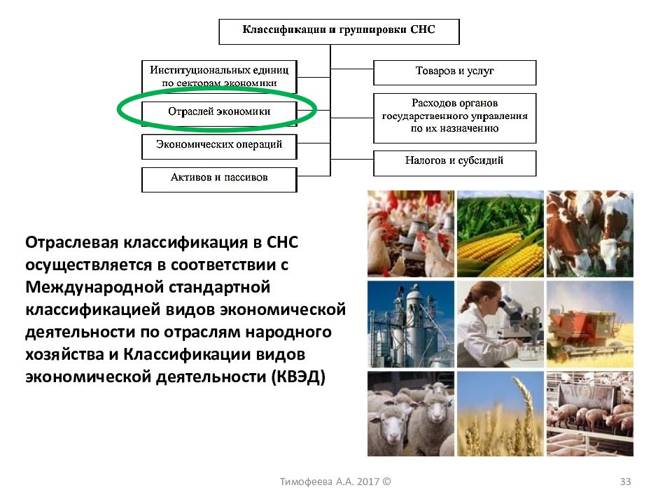 Виды хозяйственной деятельности китая. Классификация видов экономической деятельности. Классификация видов экономической деятельности по отраслям. Отрасли народного хозяйства. Виды деятельности в мировой экономике.