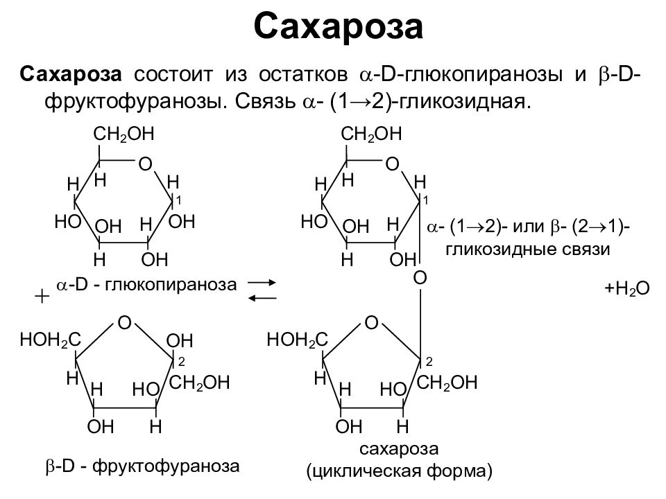 Фруктоза синтез. Образование сахарозы из моносахаридов. Сахароза состоит из моносахаридов. Гликозидные связи в сахарозе. Образование сахарозы реакция.