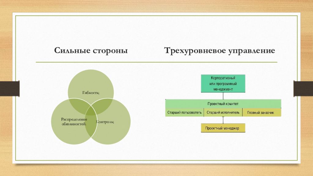 Силен 2. Управленческие проекты в социальной сфере. Сильные стороны классического проектного управления.. Трехзвенное управление. Управление проектами в социальной сфере.