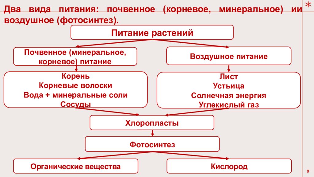 Тема урока: Обмен веществ у растений