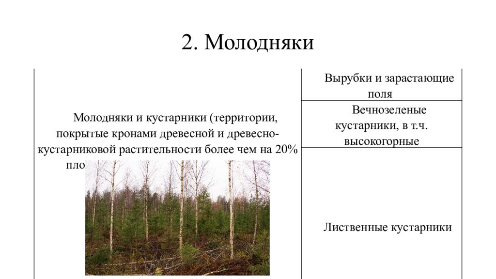 Значение охотничьих ресурсов. Учет охотничьих ресурсов. Картинка лимит и квоты охотничьих ресурсов.