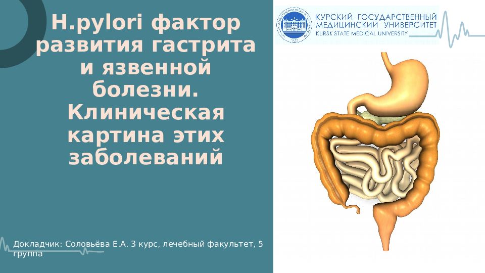 H. pylori фактор развития гастрита и язвенной болезни. Клиническая картина этих заболеваний