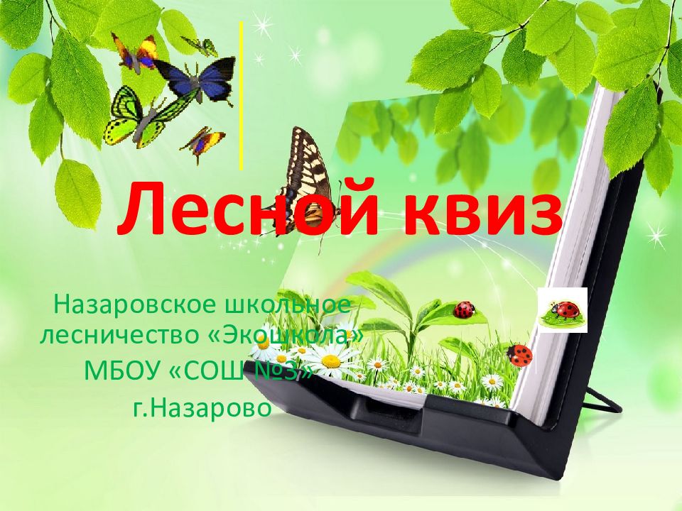 Лесной квиз