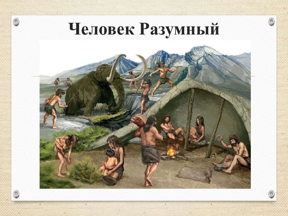 Человек Разумный