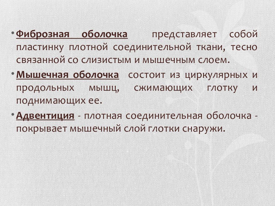 Функция плотной пластинки