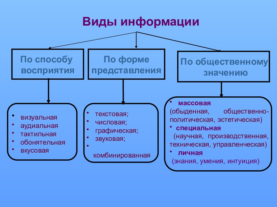 Представление данных презентация 10 класс