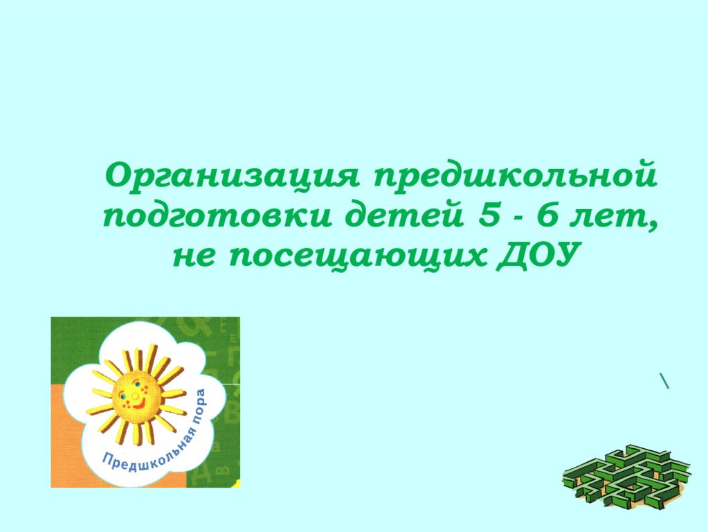 Организация предшкольной подготовки детей 5 - 6 лет, не посещающих ДОУ \