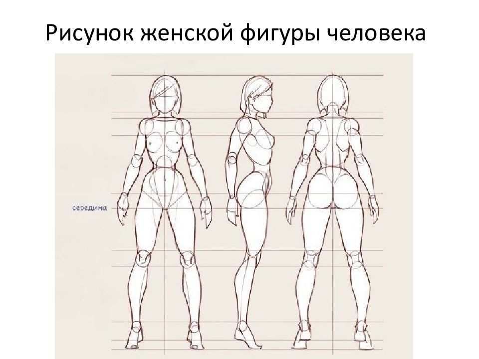 Как Нарисовать Женское Тело В Стиле Аниме