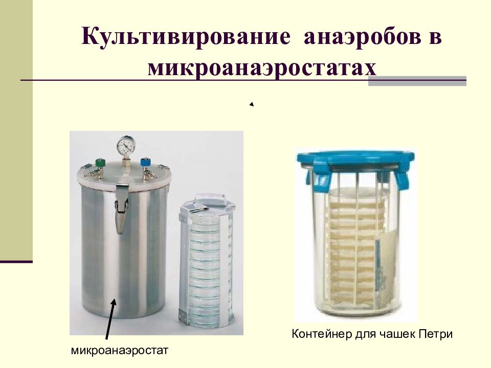 Анаэробное культивирование. Методы создания анаэробных условий для культивирования бактерий. Химический метод культивирования анаэробов. Анаэростат микробиология. Приборы для культивирования анаэробов.