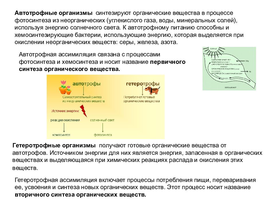 Синтезируют из неорганических веществ. Организмы осуществляющие Синтез органических веществ. Неорганические вещества в процесс процессы фотосинтеза. Автотрофного из Синтез органических веществ из неорганических. Организмы использующие энергию неорганических веществ.