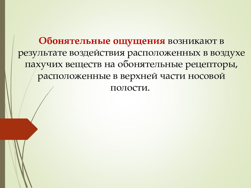 Находиться под влиянием. Осязательные ощущения. Осязательные ощущения в психологии. Обонятельные ощущения представляют собой. Комбинация кожных и двигательных ощущений при ощупывании предметов.