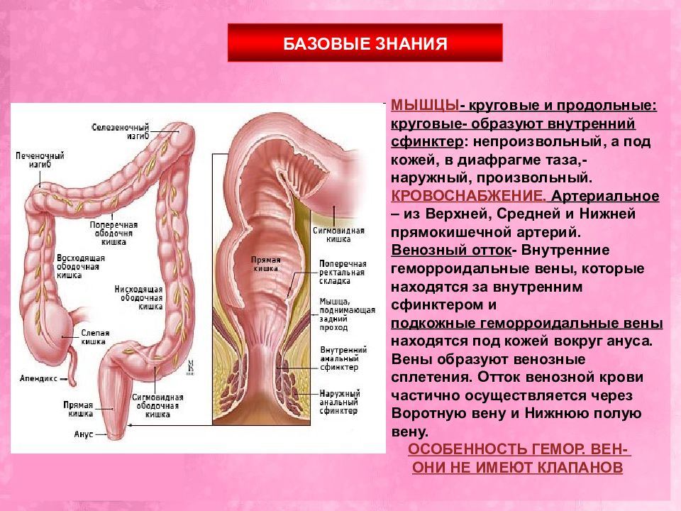 Травмы уретры презентация