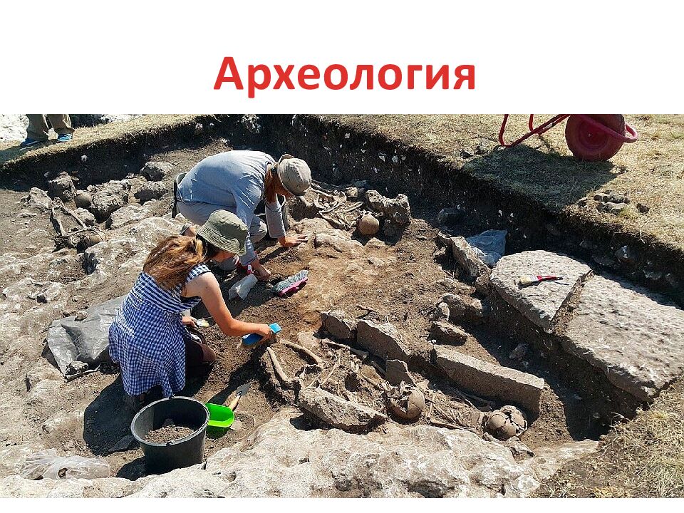 Учитель начальных классов МОУ СОШ № 22 Блохина Юлия Андреевна