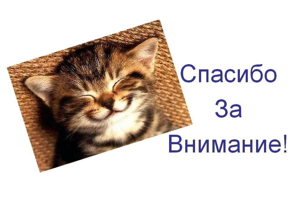 Котик в презентацию