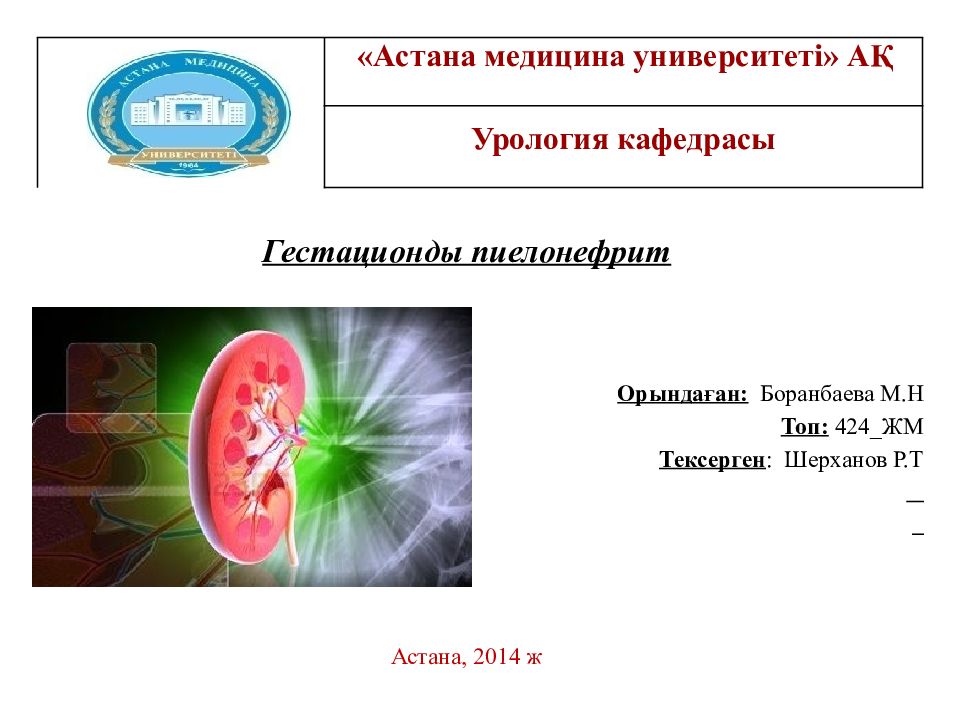 Гестационды пиелонефрит Орындаған: Боранбаева М.Н Топ: 424 ЖМ Тексерген :