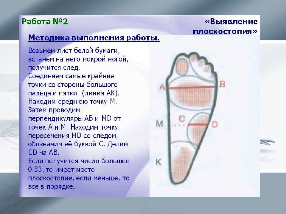 Нарушение осанки и плоскостопие презентация 8 класс биология пономарева