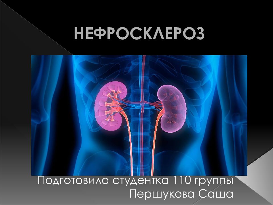 Симптомы, причины и диагностика нефросклероза у кошек