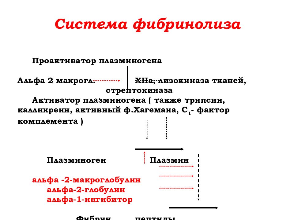 Физиология системы крови презентация