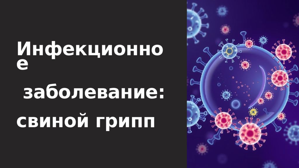 И нфекционное заболевание: свиной грипп