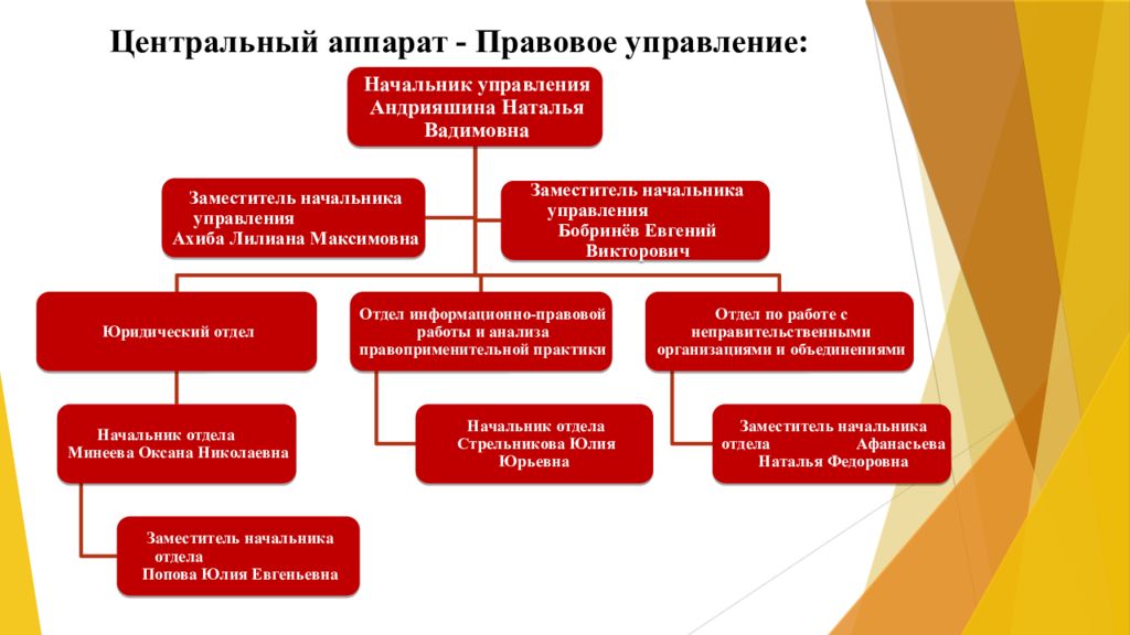 Надзор потребитель. Роспотребнадзор Центральный аппарат. Задачи центрального аппарата Роспотребнадзора. Структура управления Роспотребнадзора. Центральный аппарат управления.