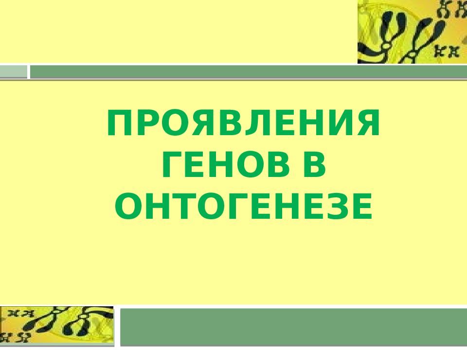 Проявление генов в онтогенезе презентация