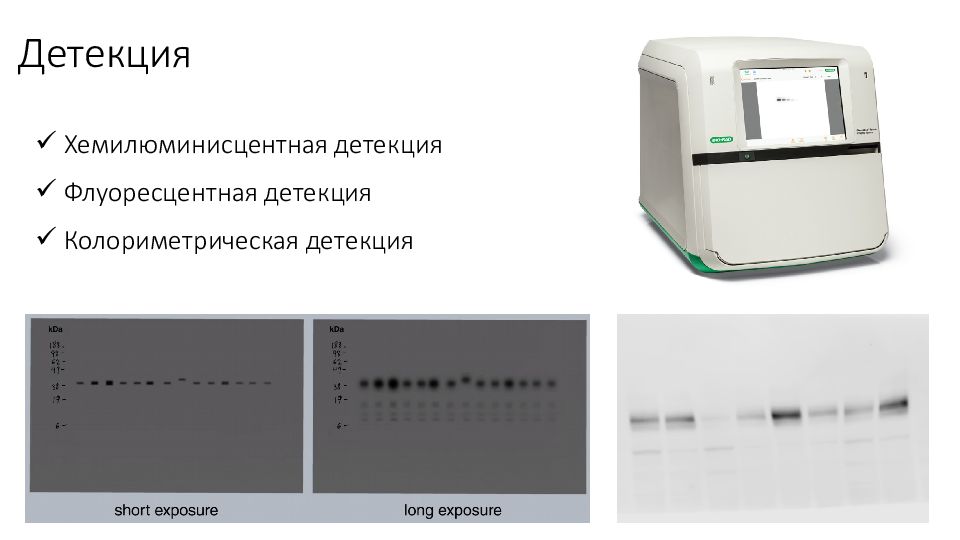 Детекция. Детекция вестерн Блот. Детекция это. Прибор детекция вестерн Блот. Колориметрическое кодирование.