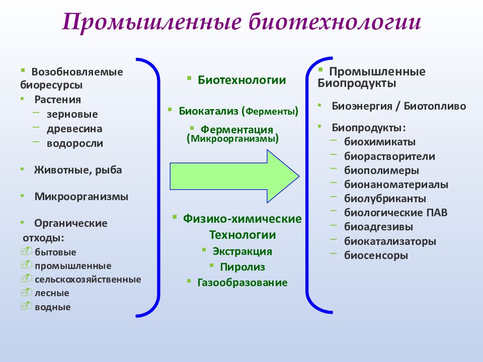 Основные задачи биотехнологии в настоящее время