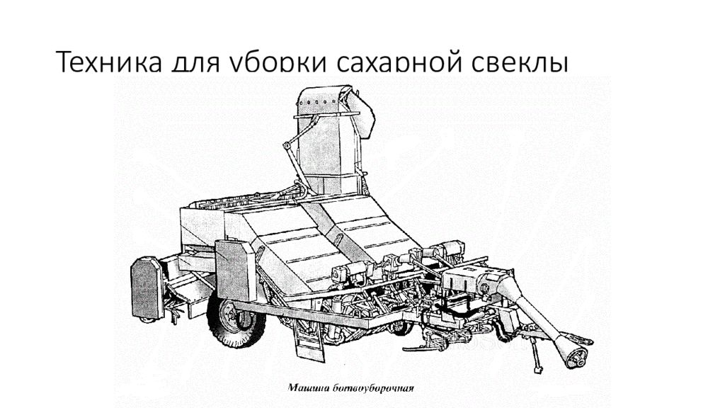 Машины для уборки сахарной свеклы презентация