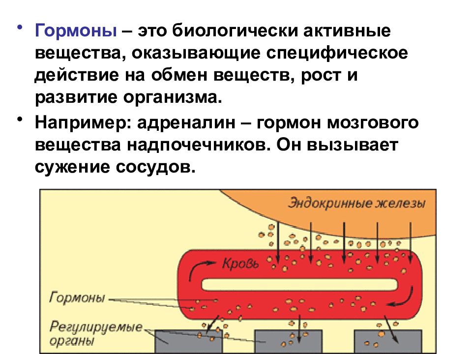 Адреналин сужает сосуды