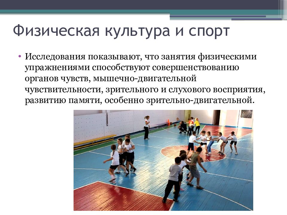 Спортивное направление физической культуры