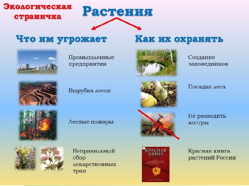 Схема охраны растений