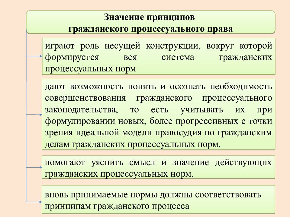 Основные правила и принципы гражданского процесса презентация