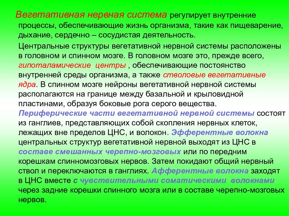 Вегетативные функции. Автономная нервная система регулирует. Вегетативная нервная система. Вегетативные функции организма. Вегетативная нервная система регулирует.