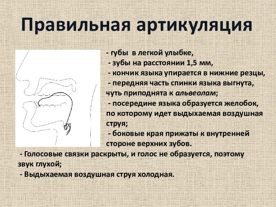 Способ артикуляции. Правильная артикуляция с. Правильная артикуляция зубы. Правильная артикуляция губных звуков. Артикуляция это в стоматологии.