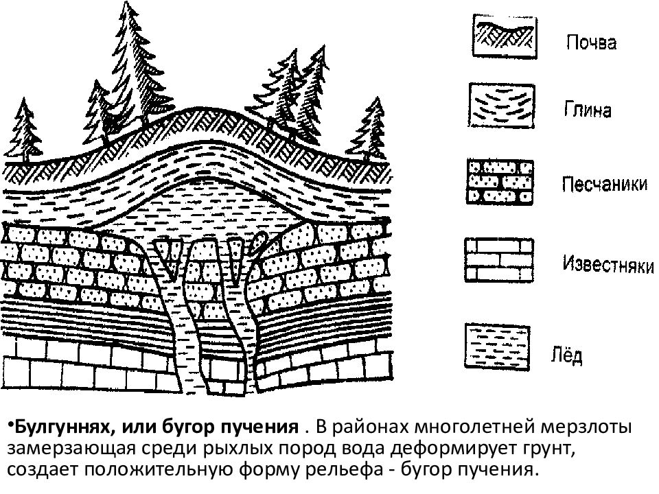 Формы многолетней мерзлоты. Мерзлотные Бугры пучения. Бугры пучения в Якутии. Бугры пучения форма рельефа. Торфяные Бугры пучения.