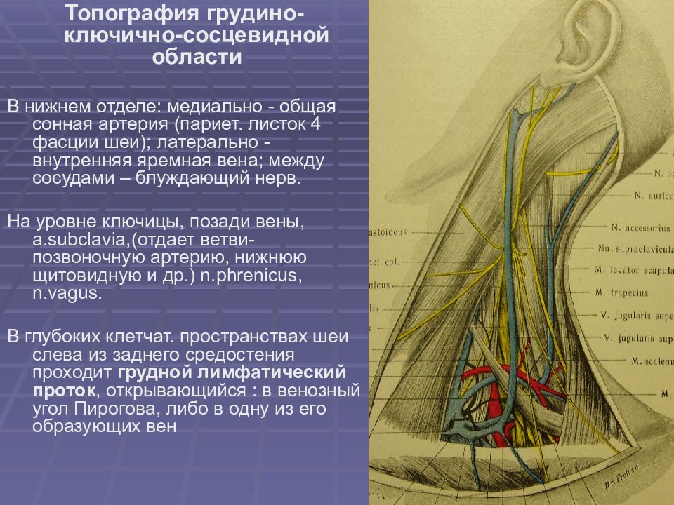 Топографическая анатомия и оперативная хирургия шеи презентация