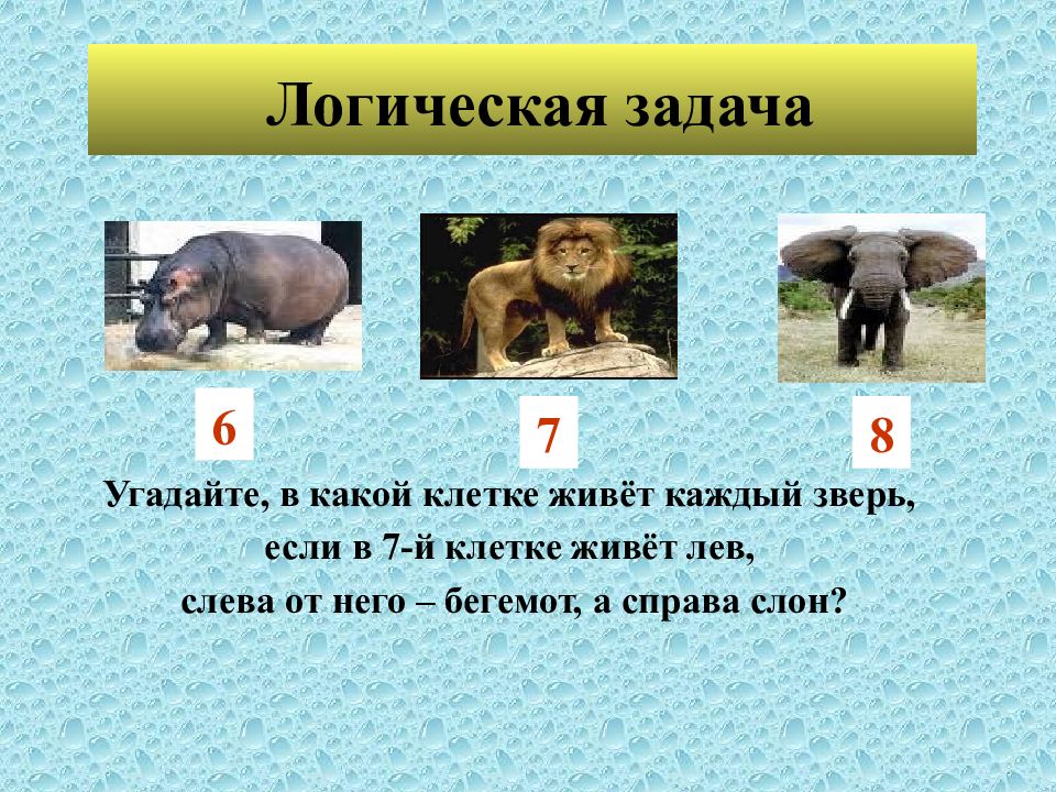 Текст каждое животное по своему. На каком материке обитают львы и Бегемоты. Задание 6 Найдите соответствие слон. На какой клетке стоит слон. Сколько вести Слоненок логическая Щадачка.