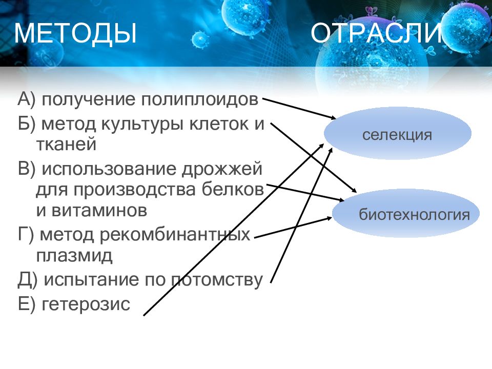 Метод отрасли. Метод получения полиплоидов.