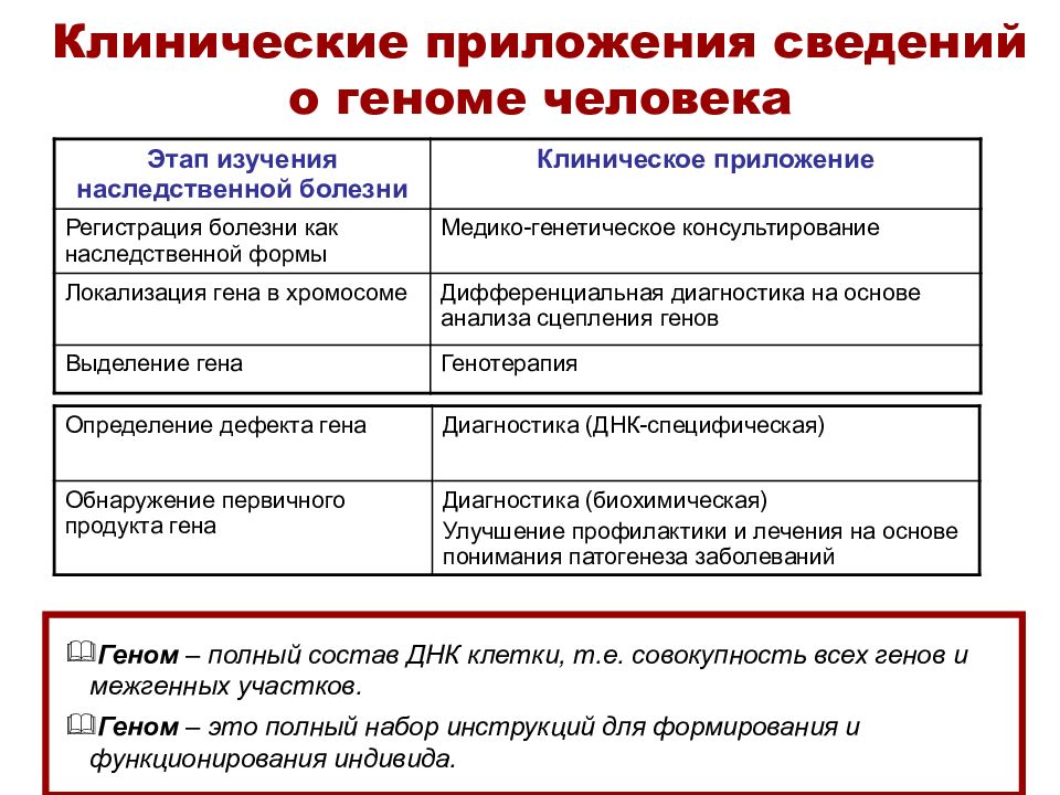 Презентация введение в генетику