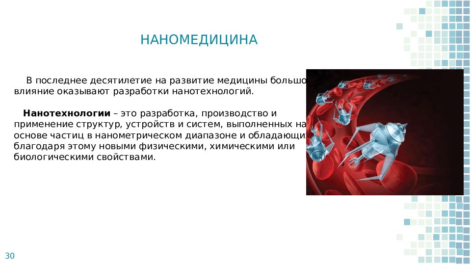 Старение человека и возможность бессмертия проект по биологии