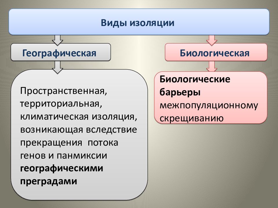 Тип комнаты изолированная что значит