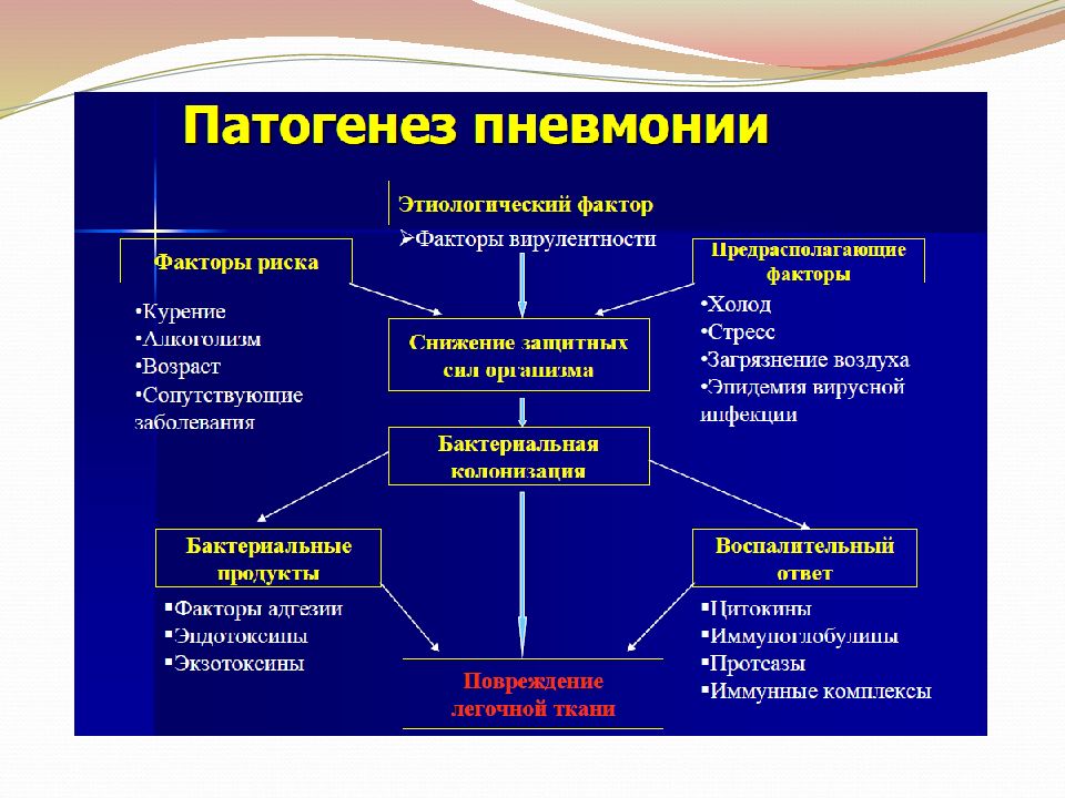 Пневмония презентация внутренние болезни