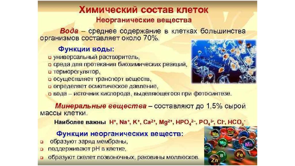 Каково значение веществ в. Химический состав клетки вода. Хим состав клетки функции воды. Химические вещества клетки состав и функции воды. Неорганические вещества клетки вода и Минеральные соли.