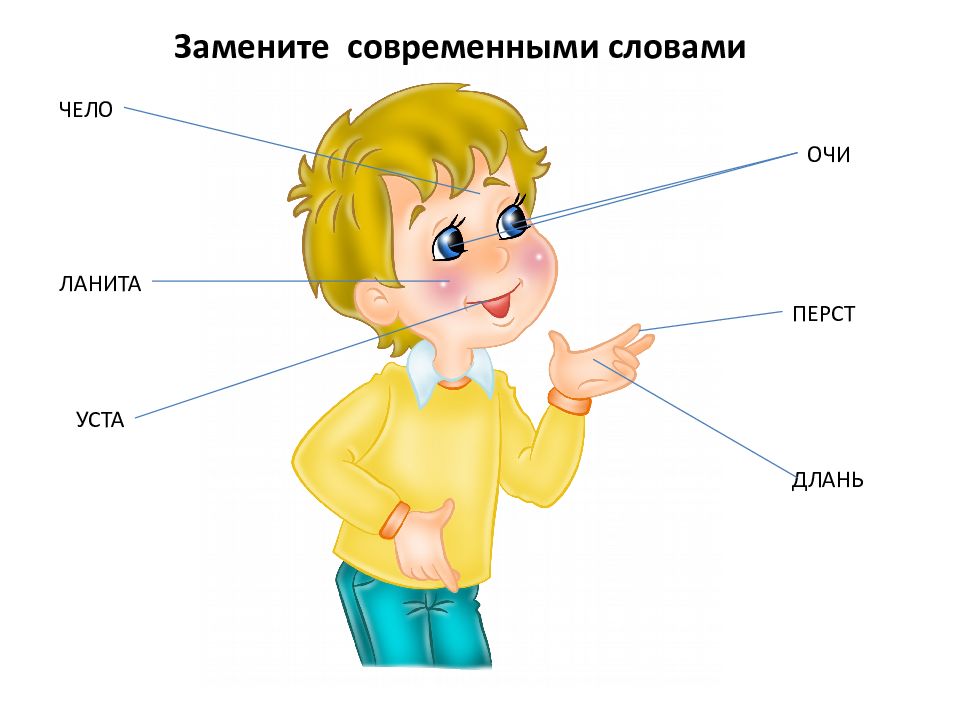 Чело ответ. Чело перст Длань очи ланиты уста это. Око чело. Современное слово чело. Длань перст.